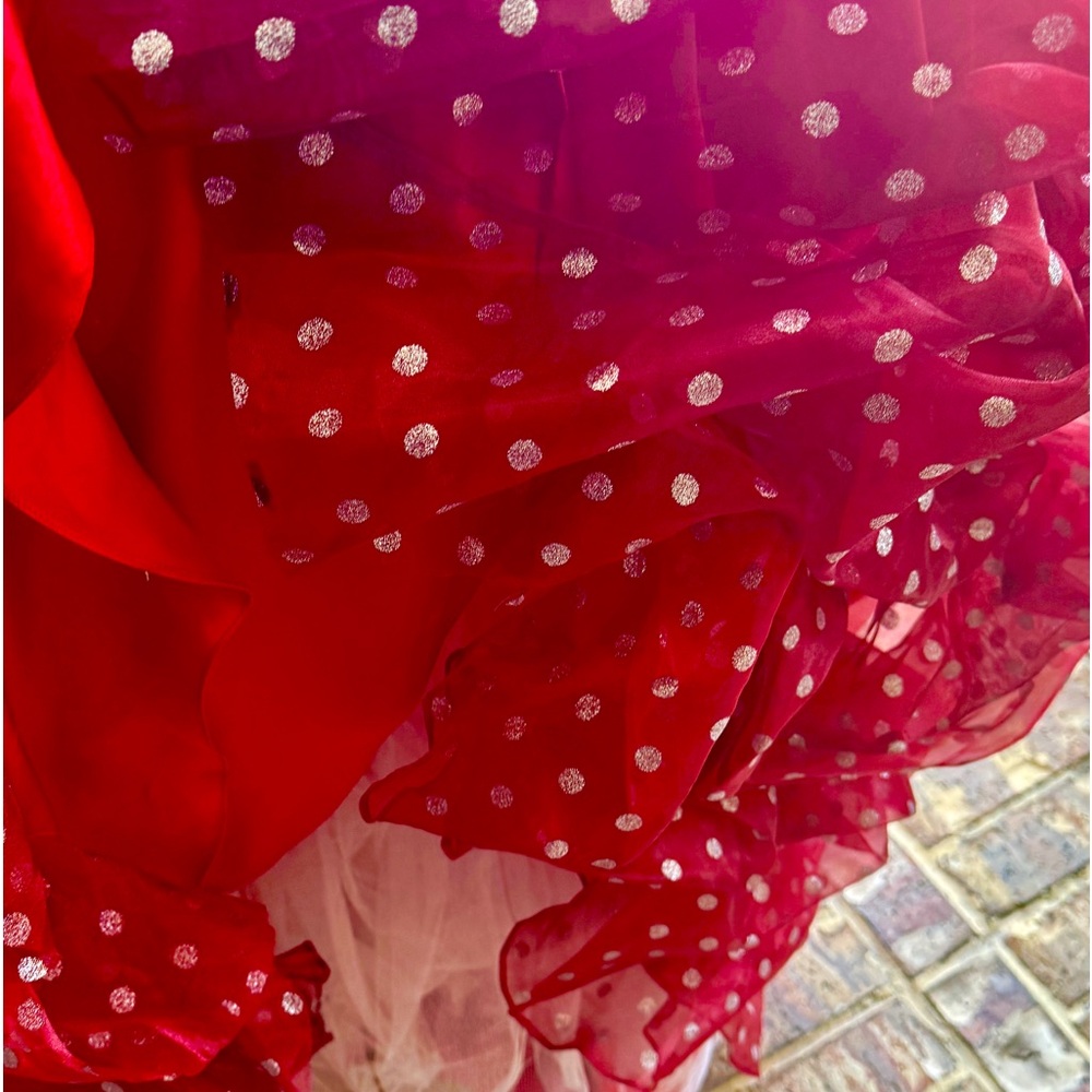 Flamenco or Queen of Hearts layered dress w tulle skirt - Picture 3 of 7